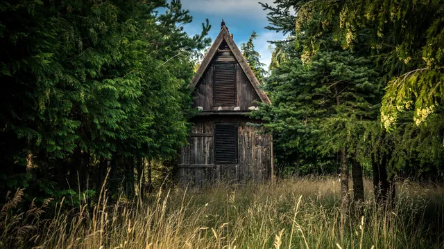Lazarus staat op | De stemmetjes in je hoofd.