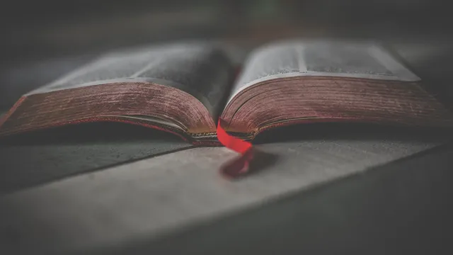 Lazarus staat op | Hoezo Veilig?.