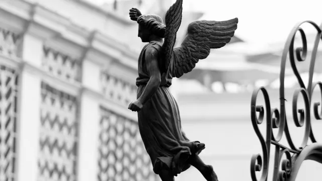 Reinier kijkt plaatjes: Allemaal vliegende blote kindjes.