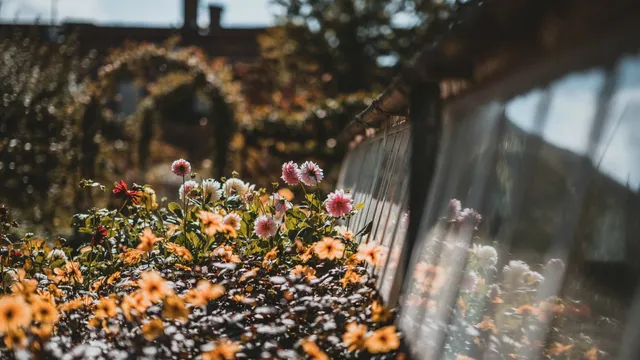 Lazarus staat op | Wat bepaalt wie je bent.