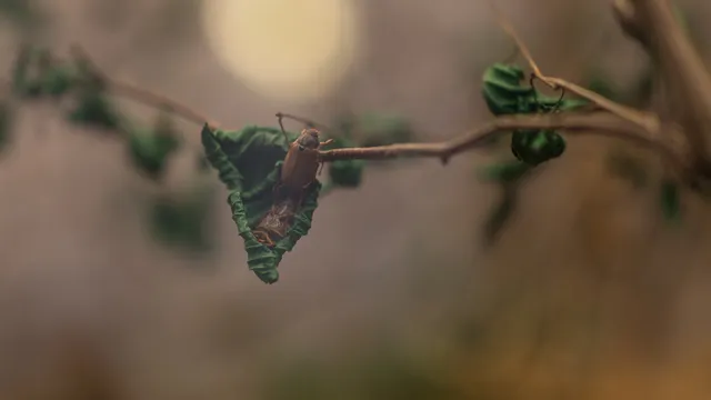 Lazarus staat op | Maar hoe verandert er dan echt wat?.