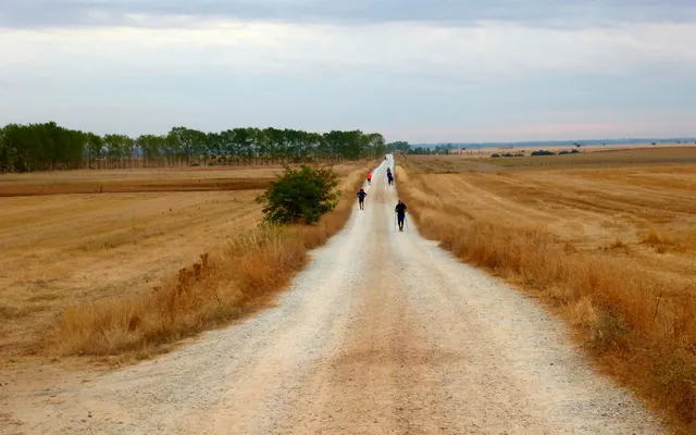 In onze overprikkelde wereld kunnen we wel wat saaiheid en verveeldheid gebruiken. Toch?.