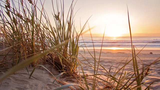 Lazarus staat op | Het zit 'm dus in wat je doet.