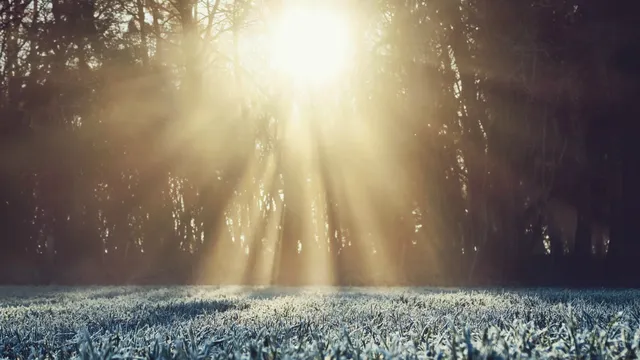 Lazarus staat op | Er komt geen man aan te pas.