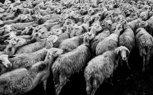 Wat Rob te zeggen heeft over het geven van 'tienden', kinderlijk geloven en Satan.