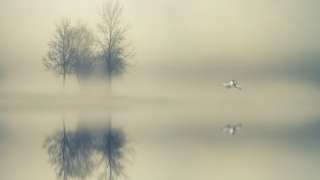 Lazarus staat op | Why not me.