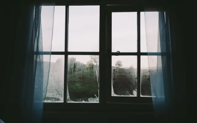 Dat ik niet de baas ben.