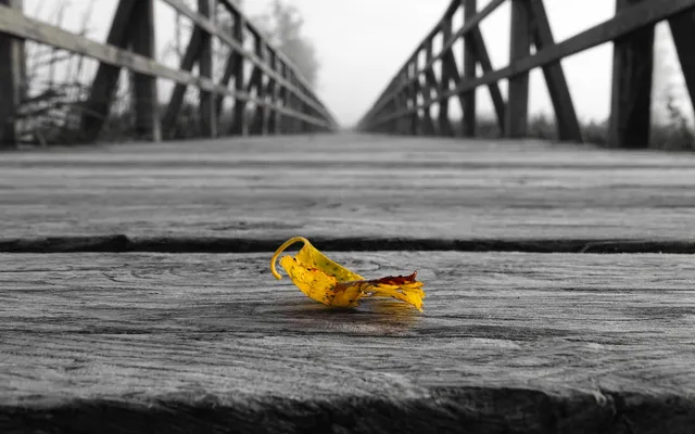 Oneerlijke verdeling.