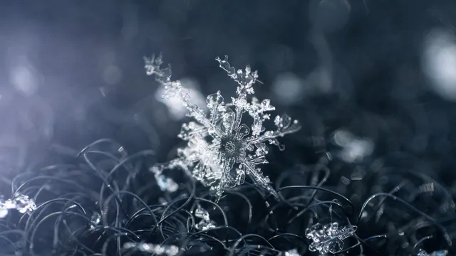 Lazarus staat op | Spoken uit het verleden.