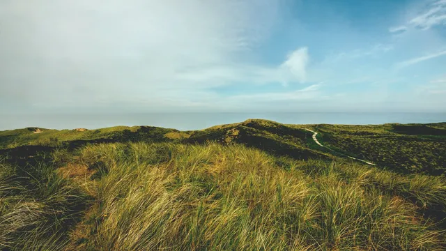 Quarantheologie | Niemand van ons is helemaal normaal...
