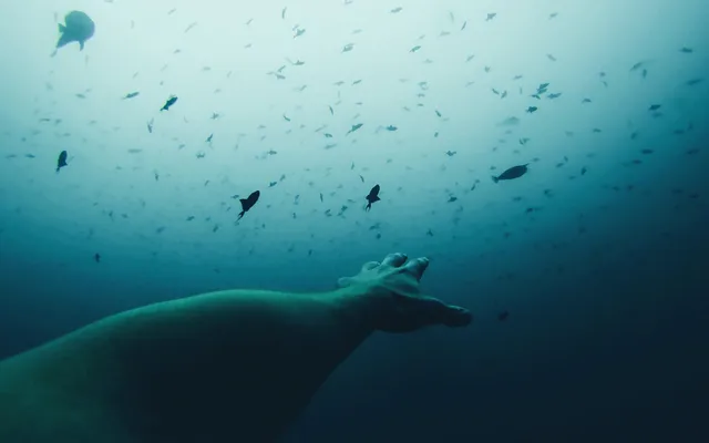 Waar is God als ik verzuip in m’n zorgen?.