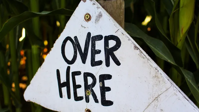 Lazarus tipt: interview Brian McLaren, daklozen-fresco in kerk en podcast met Kate Bowler.