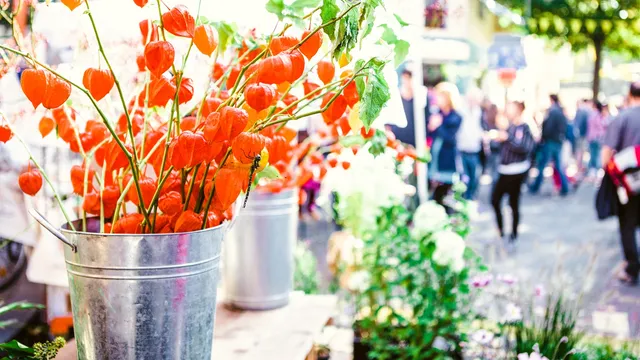 Wilbert zet graag de duurzame bloemetjes binnen.