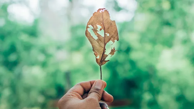 Tegenslag in je leven? Zo leerde Jurjen ermee om te gaan.