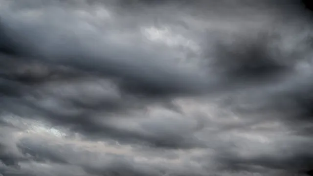 Lazarus staat op | Peuren in de motivatie.