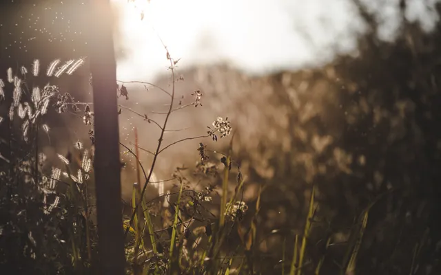 ‘Is mijn vader in de hemel?’.