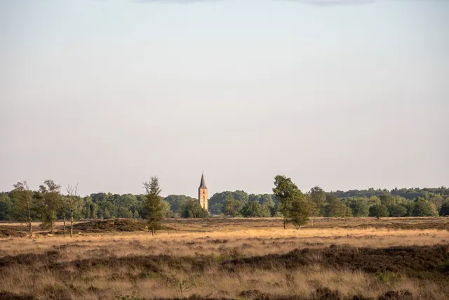 ‘Al het goeds in deze wereld mag gezien worden’.