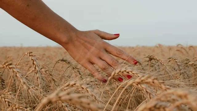 Lazarus staat op | Hij luistert niet.