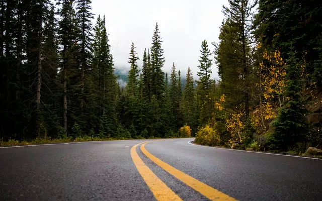 ‘Hou eens op met Bijbellezen’.