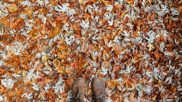 Lazarus staat op | Het hoeft niet te glimmen.