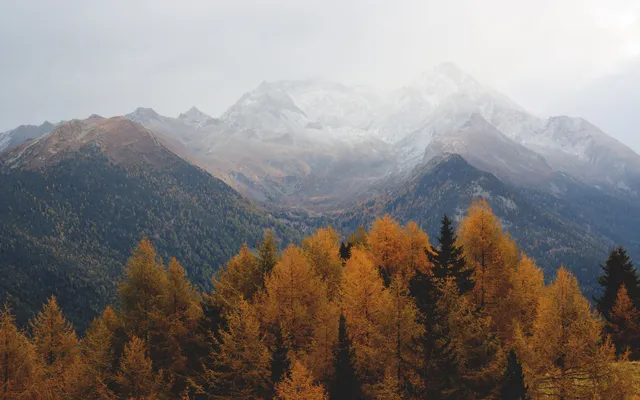 Dat het goed is als men kwaad spreekt.