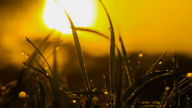 Lazarus staat op | Wie je vader is - en je moeder.
