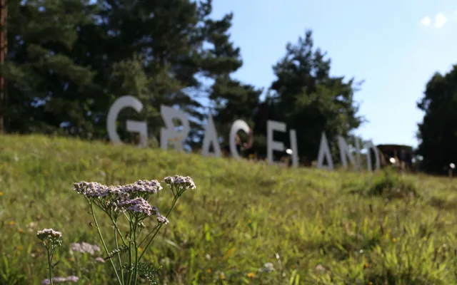 Lazarus tipt: Lazarus-bloggers op Graceland Festival.