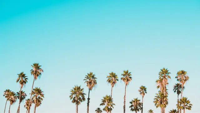 Lazarus staat op | Het was geen ongeluk, het is een spel.