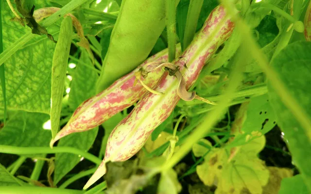 ‘Een vlek hier en daar doet niets aan je schoonheid af’ #metoo.