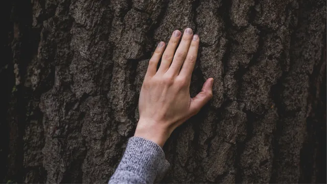 Lazarus staat op | Welke strijd ga je aan?.