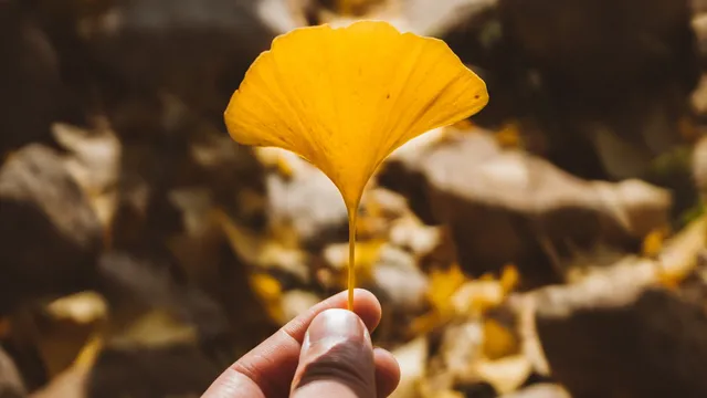 ‘Het is mogelijk om onder alle omstandigheden hoop te houden’.