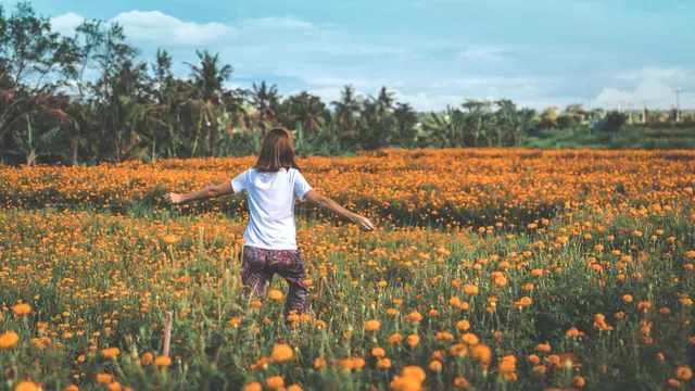 Lazarus staat op | Vrouwen en kinderen eerst.