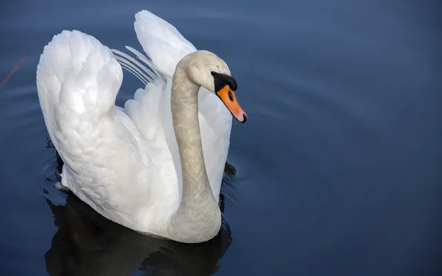 Wat leer ik mijn kinderen over liefde en trouw nu mijn huwelijk kapot is?.
