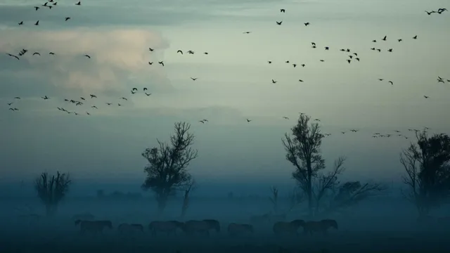 Lazarus staat op | Dragen of gedragen worden.