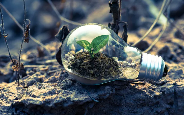 Laat je inspireren door Prediker.