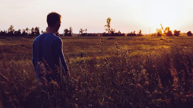 Lazarus staat op | Zon en regen.
