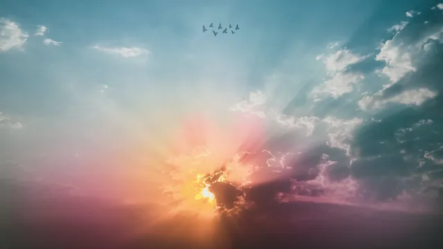 Lazarus staat op | Liefhebben met alles wat je hebt.