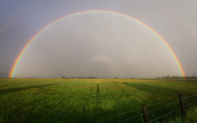 ‘Ik lig nu alleen in het ziekenhuis, maar weet dat ik gezien word en geliefd ben’.