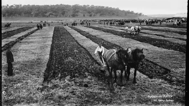 In het gareel lopen: zo doe je dat het beste in deze tijd.