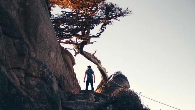 Lazarus staat op | Pay It Forward - or Pay Back.