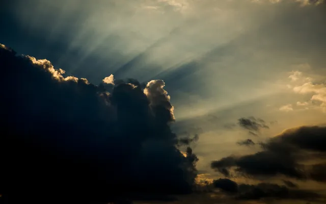 Drink eens koffie met een politicus, en meer tips tegen cynisme.