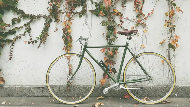 Waarom ik geen auto heb (en er ook geen wil).