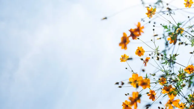 Lazarus staat op | Er is maar één vorm van vasten die telt.