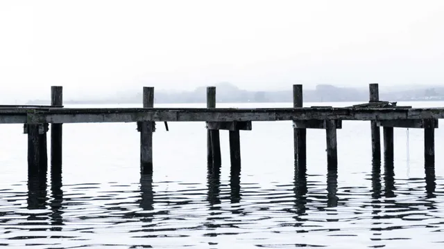 Lazarus staat op | Een ander mens worden begint bij de ander.