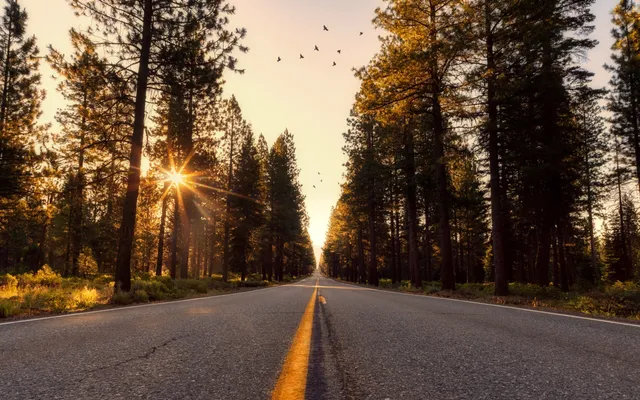 Niet iedereen is van de wereld.