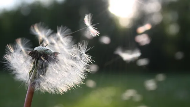 Lazarus staat op | Op pad.