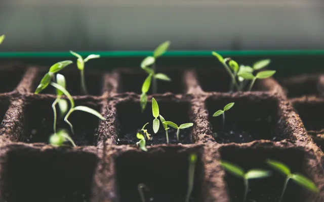 De laatste oproep van de week.