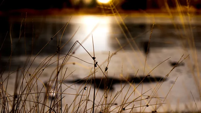 Lazarus staat op | Wie besmet wie en waarmee?.