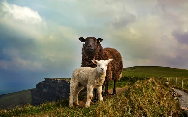 Ja, onze God is geen pacifist en heeft bloed aan z’n handen….