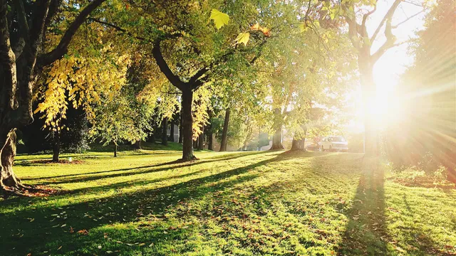 Lazarus staat op | Niet meer dan het gewone.